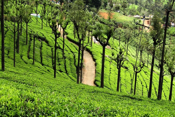 destination image